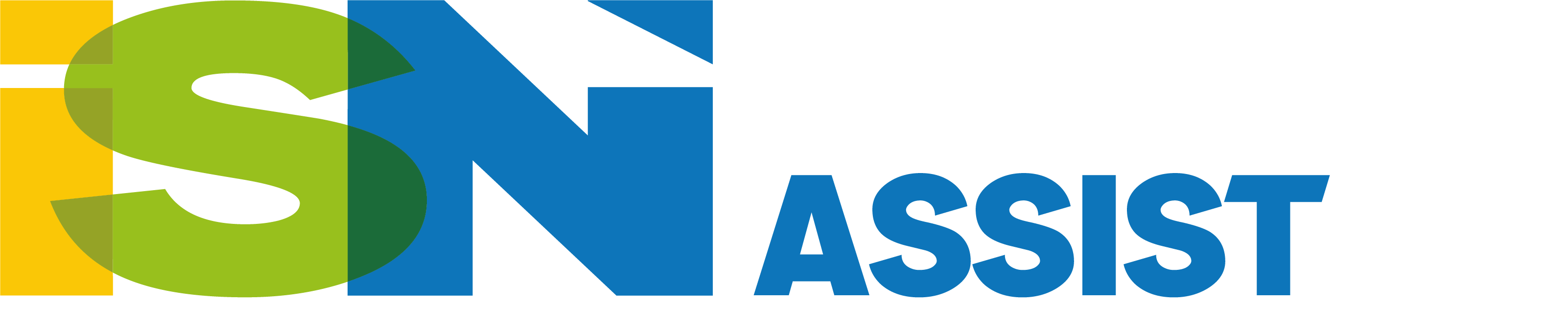 ISN_GA_logo_2023_WHITE Services